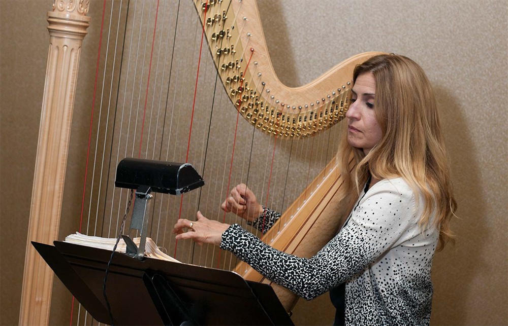 Harpist Laura Utley delights and entertains attendees during the VIP reception and dinner.