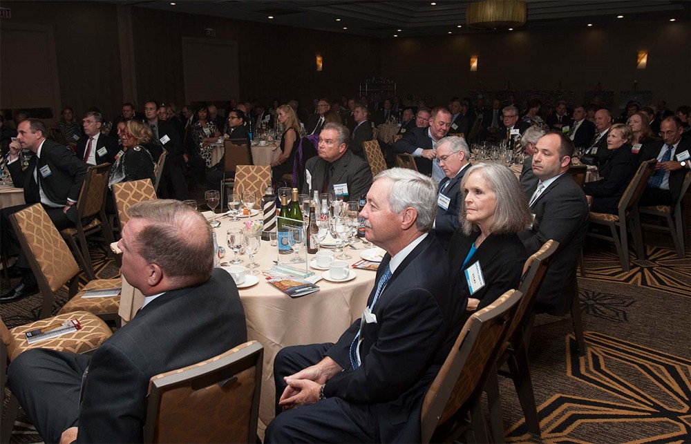 Looking across the audience from the Premier table.