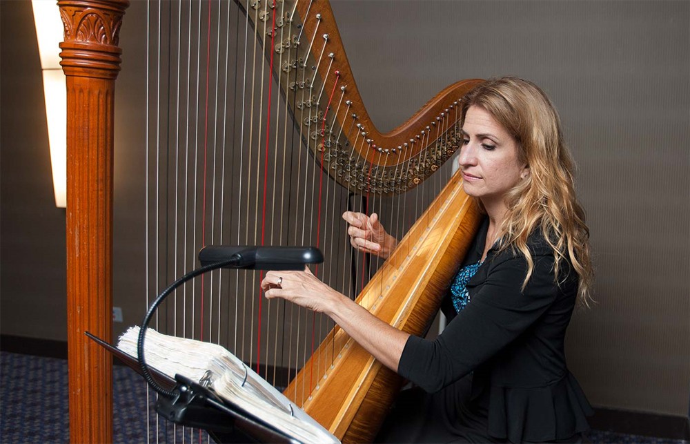 Harpist Laura Utley regales the attendees.